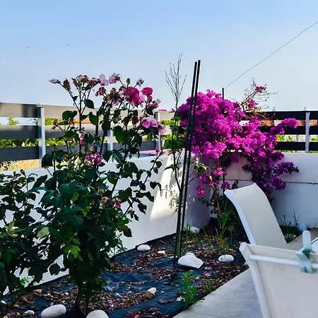 Дом отдыха Family House Никити
