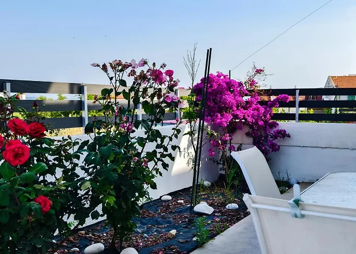 Hébergement de vacances Family House Nikiti (Sithonia)